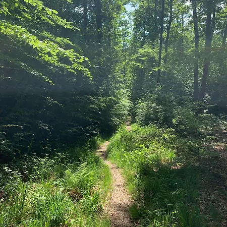 アパート Ruhige Im Gruenen Lichtenwald